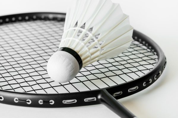 PERFLY Badminton Championship