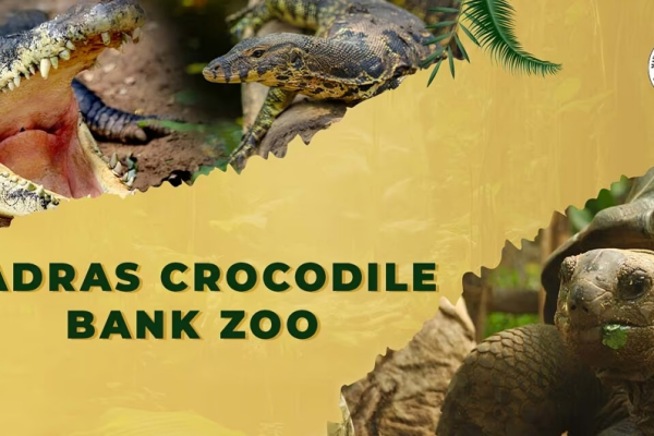 Experience the Wild: Madras Crocodile Bank Zoo Entry