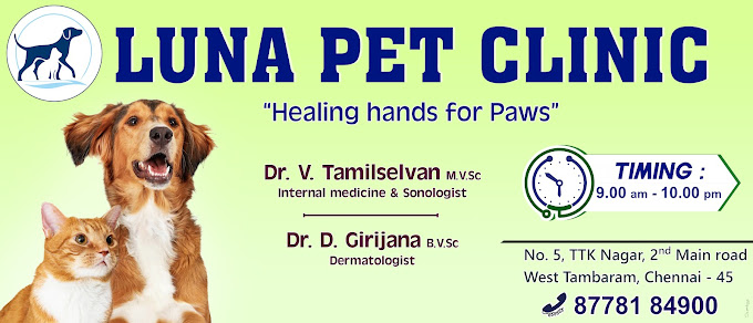 Luna Pet Clinic