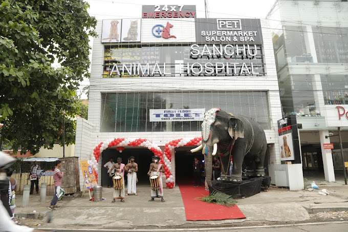 Sanchu Animal Hospital 24X7