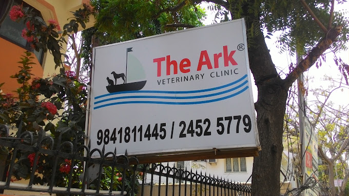 The Ark Veterinary Clinic