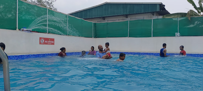 Dolphin Swimming Pool