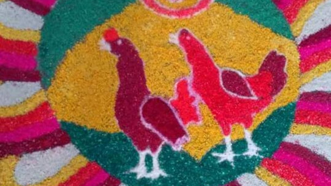 SRI PARAMESHWARI POULTRY FARM