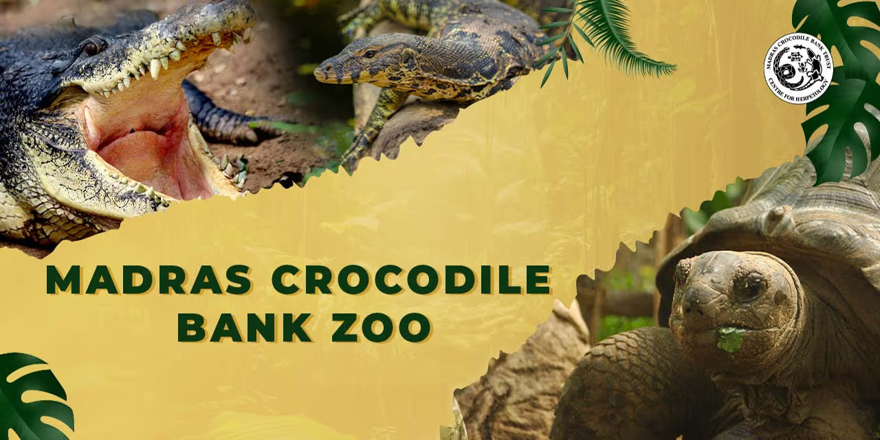 Madras Crocodile Bank Zoo Entry - Explore Reptiles and Wildlife from August 15 to August 31, 2024