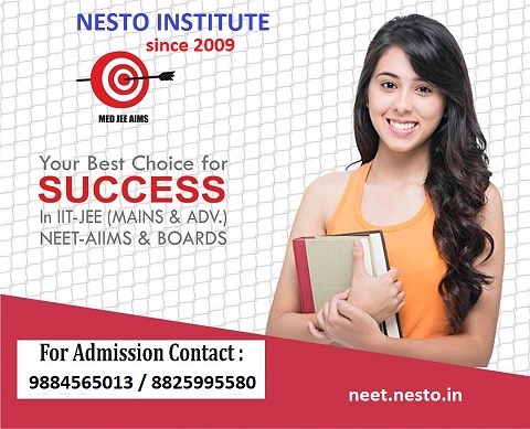 NESTO Institute