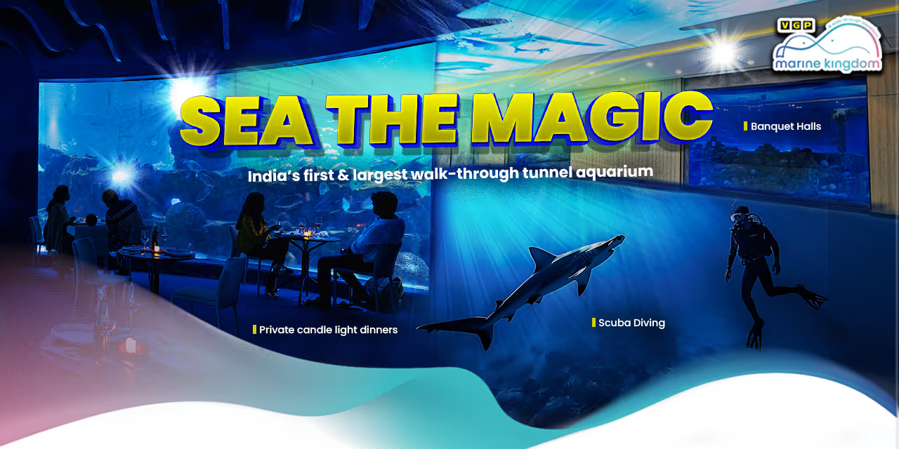 VGP Marine Kingdom: India’s Largest Walk-Through Aquarium | Chennai Sep 2024