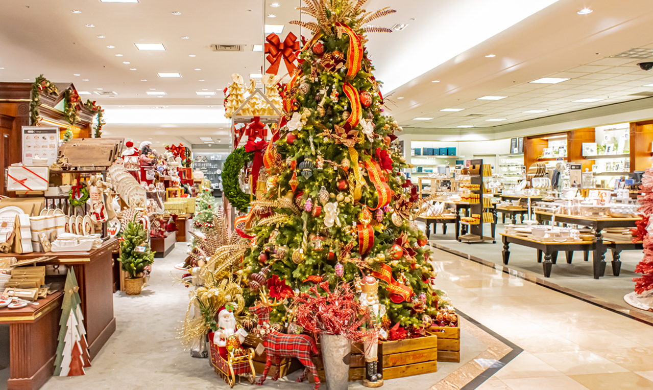 Top 10 Christmas Tree Shops in Chennai