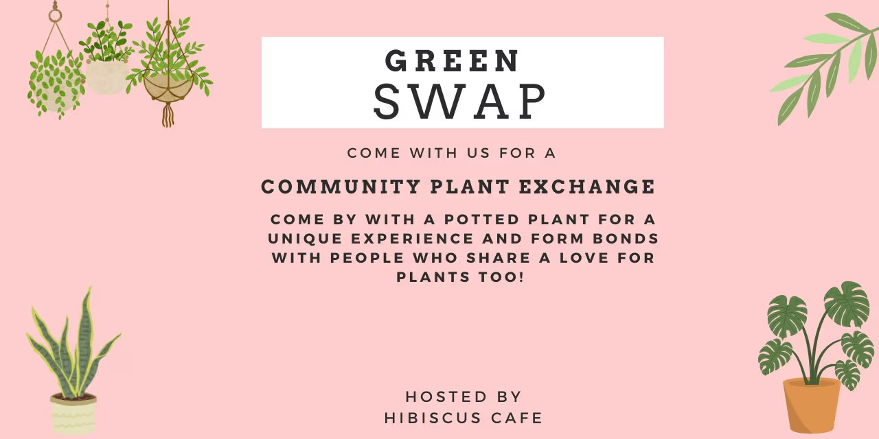 Plant Exchange Market | Hibiscus Cafe, Chennai | Nov 24, 2024