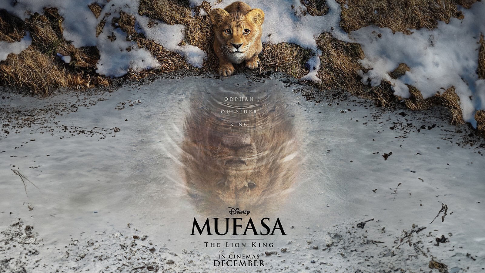 Mufasa: The Lion King – Adventure, Animation | Dec 20, 2024