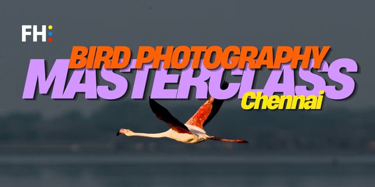 Bird Photography Masterclass | Feb 9, 2025, Vedanthangal, Chennai